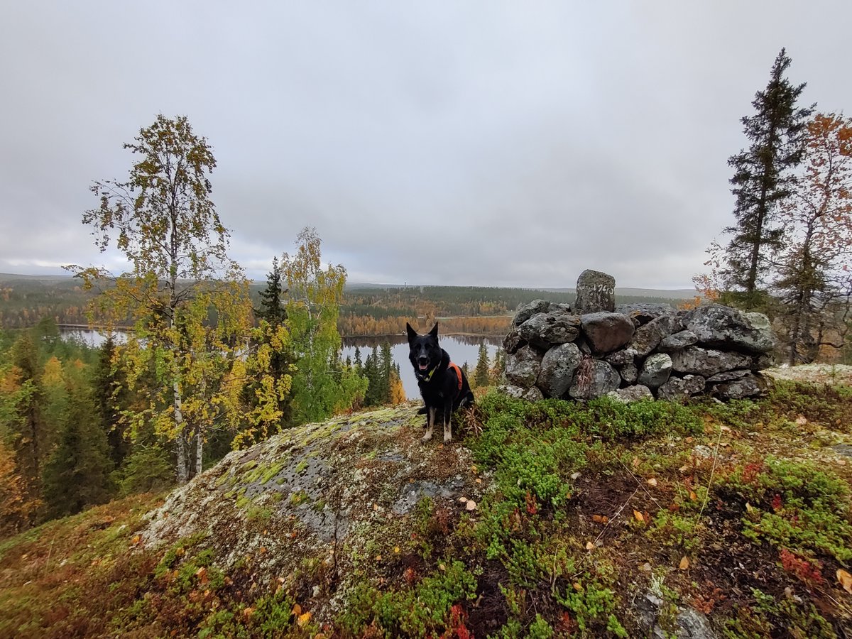 KainuunRaja's tweet photo. Spn Iiris ja #KainuunRaja toivottavat kaikille hyvää kansainvälistä #maisemapäivä'ä @KuusamoRuka suunnalta. 

Lisää tietoa maisemapäivästä: https://t.co/pAiyRtp4Ev

#arkimaisema #maisema #landscapeday #K9 https://t.co/pJfSUDEqzq