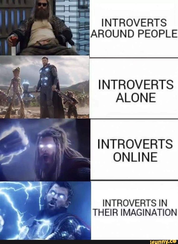 boredntrovert's tweet photo. This meme speaks volumes. #introvert https://t.co/dghaU9lAkd