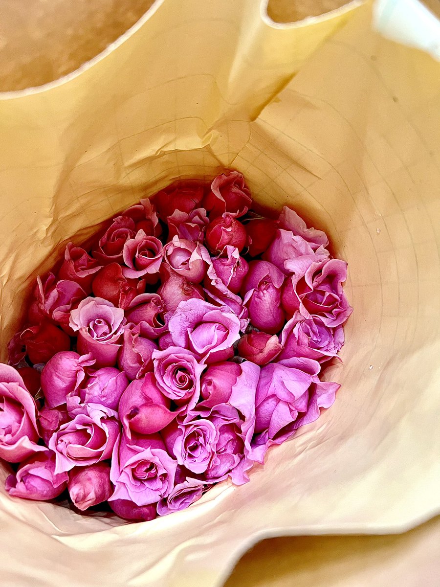 DENISE THI tweet media