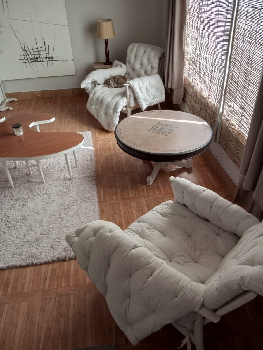 Zain Mustafa tweet media