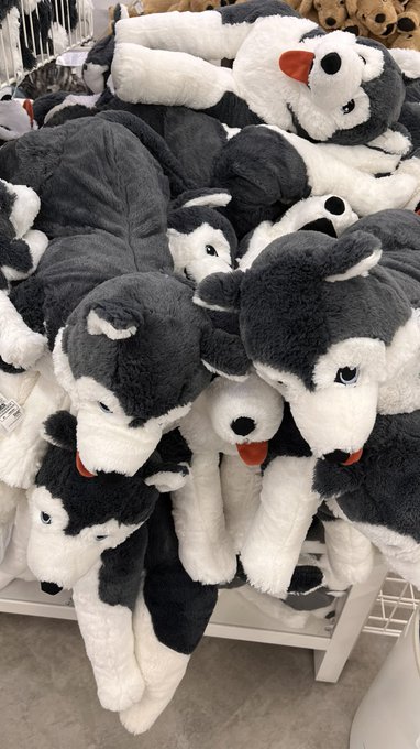 IKEAใฎ็ฌๅฏๆใใ