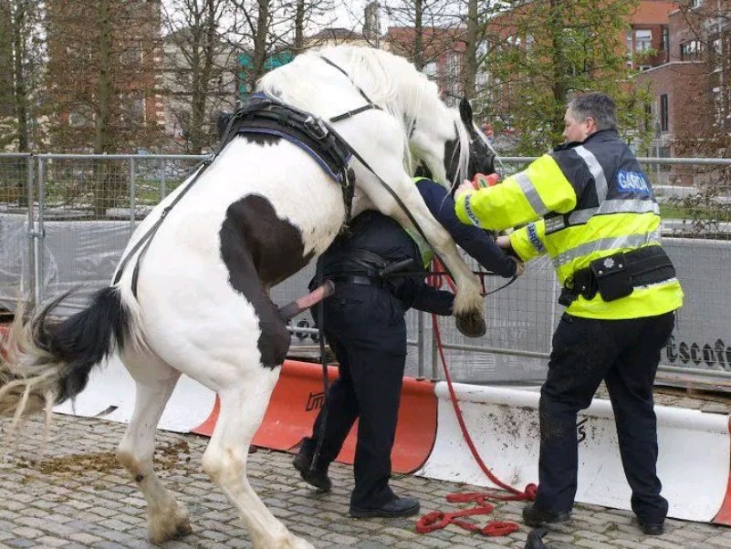 qphunterr's tweet photo. Fuck the police https://t.co/7xq94uvsEe