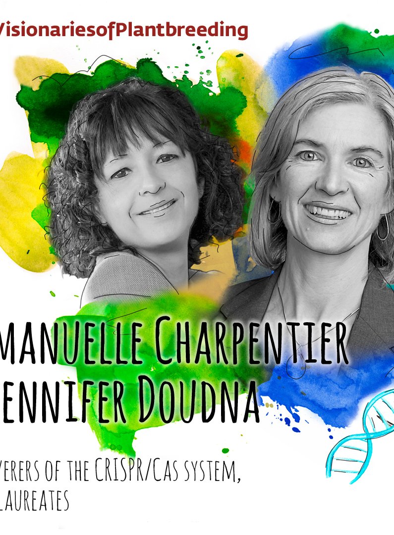 EuroseedsEU's tweet photo. 🌱With the discovery of #genescissors, Jennifer Doudna and Emmanuelle Charpentier have revolutionised the life sciences. For the Nobel Prize Committee, one of the most effective tools of genetic engineering. https://t.co/2V79Vxgz90 #WorldCRISPRDay 🧬#VisionariesofPlantBreeding https://t.co/fV8FlYeUG5