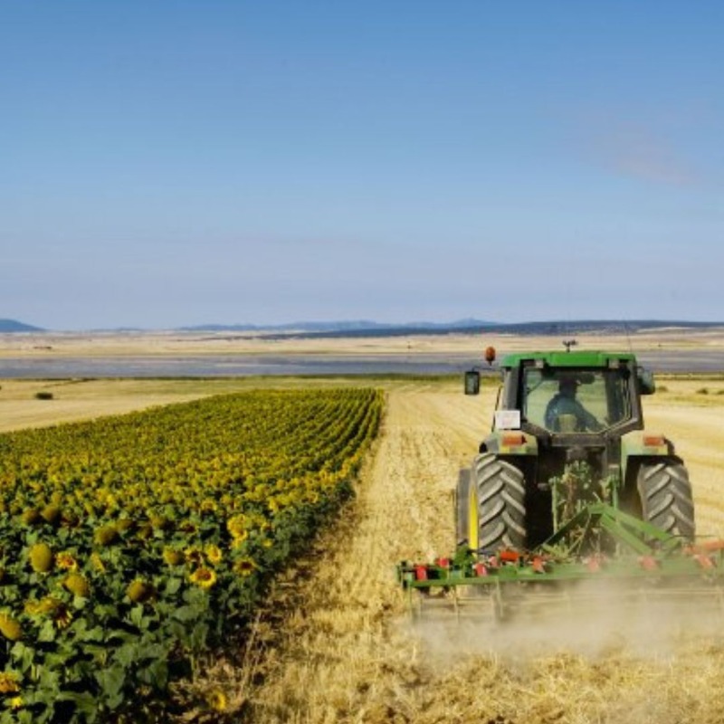 BAgrisolutions's tweet photo. #Blog 📲 #Laboreo y #sequía: ¿cómo debemos manejarnos en un contexto de suelos secos? 🚜

Urge buscar formas para poder #cultivar tierras cada vez más secas. Si se quiere conservar la humedad del #suelo, se recomiendan dos prácticas: mínimo laboreo y #CubiertaVegetal.

Sigue ⬇️