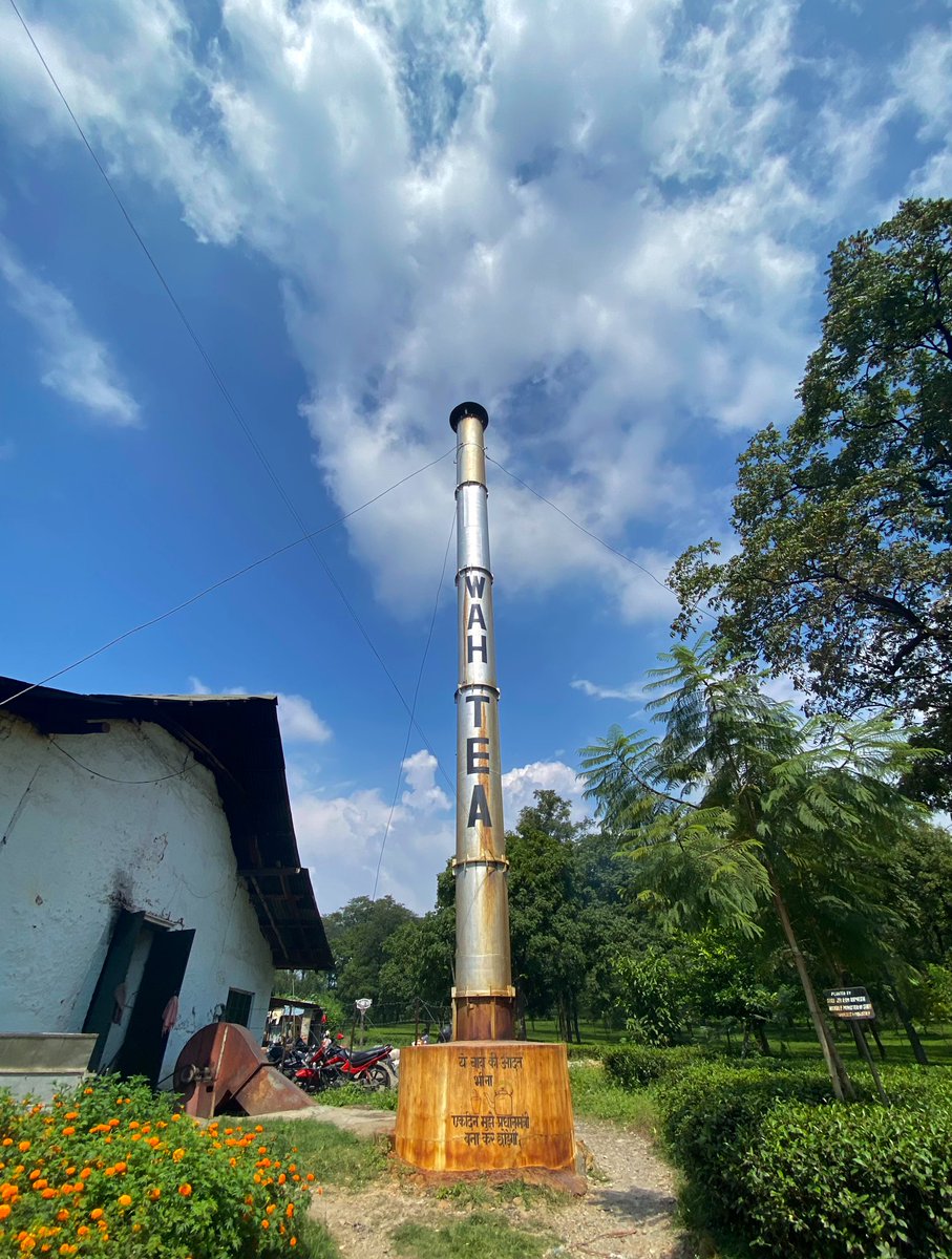 Wah Tea Estates 🫖🍃

#Palampur #HimachalPradesh