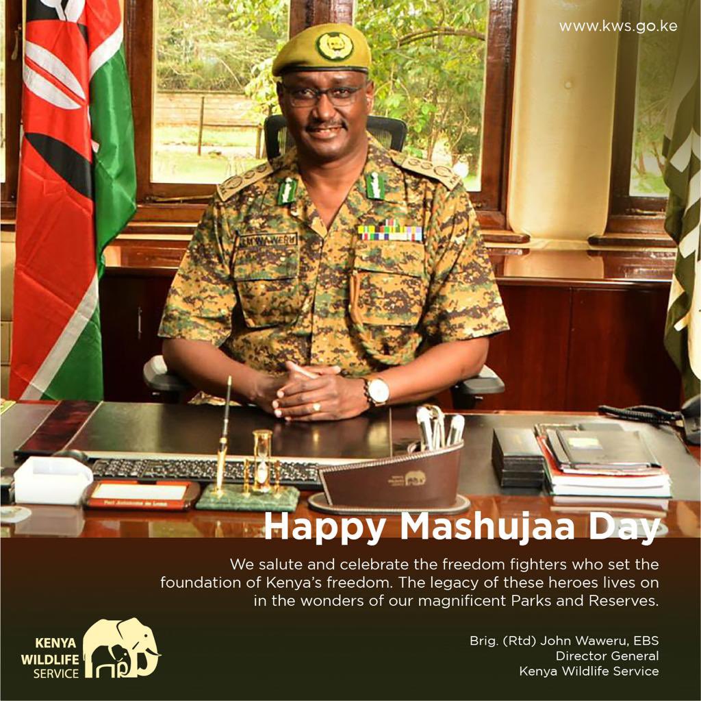 We can never forget the contributions made by the freedom fighters to save and protect our national heritage. Happy Mashujaa Day. #MashujaaDay #ZuruKenyaParks