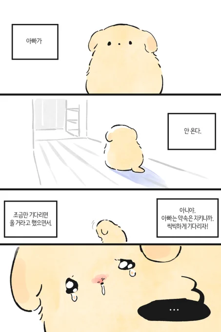씪씩한 콩 