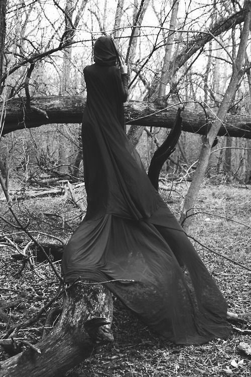 𝕯𝖊𝖓𝖎𝖟𝖊𝖓 𝖔𝖋 𝕳𝖊𝖑 𓆙 RP | DM for plotting (@devoratormoarte) on Twitter photo 