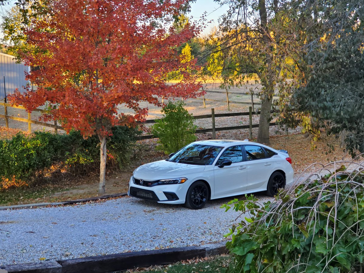 TotallyAvgGamer's tweet photo. And I quote a comment off of FB.
"Best fall photo I've seen this year."
This car is exactly what I've been waiting for!
#OneWithThePatch #SaveTheManuals #HondaCivicSi
@MelonPatchGamin https://t.co/5kYe0vMya0