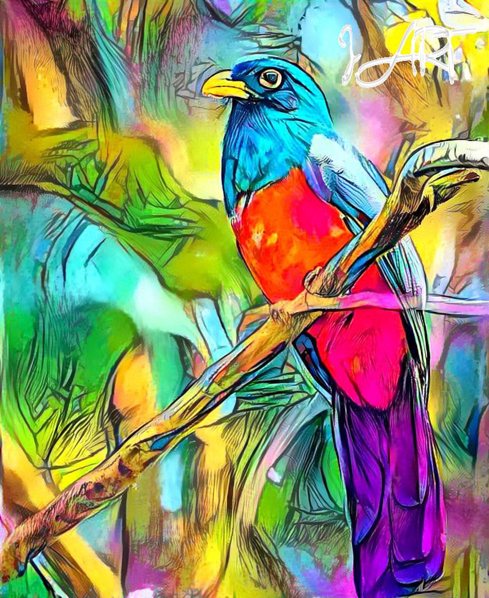 IArt Creations tweet media