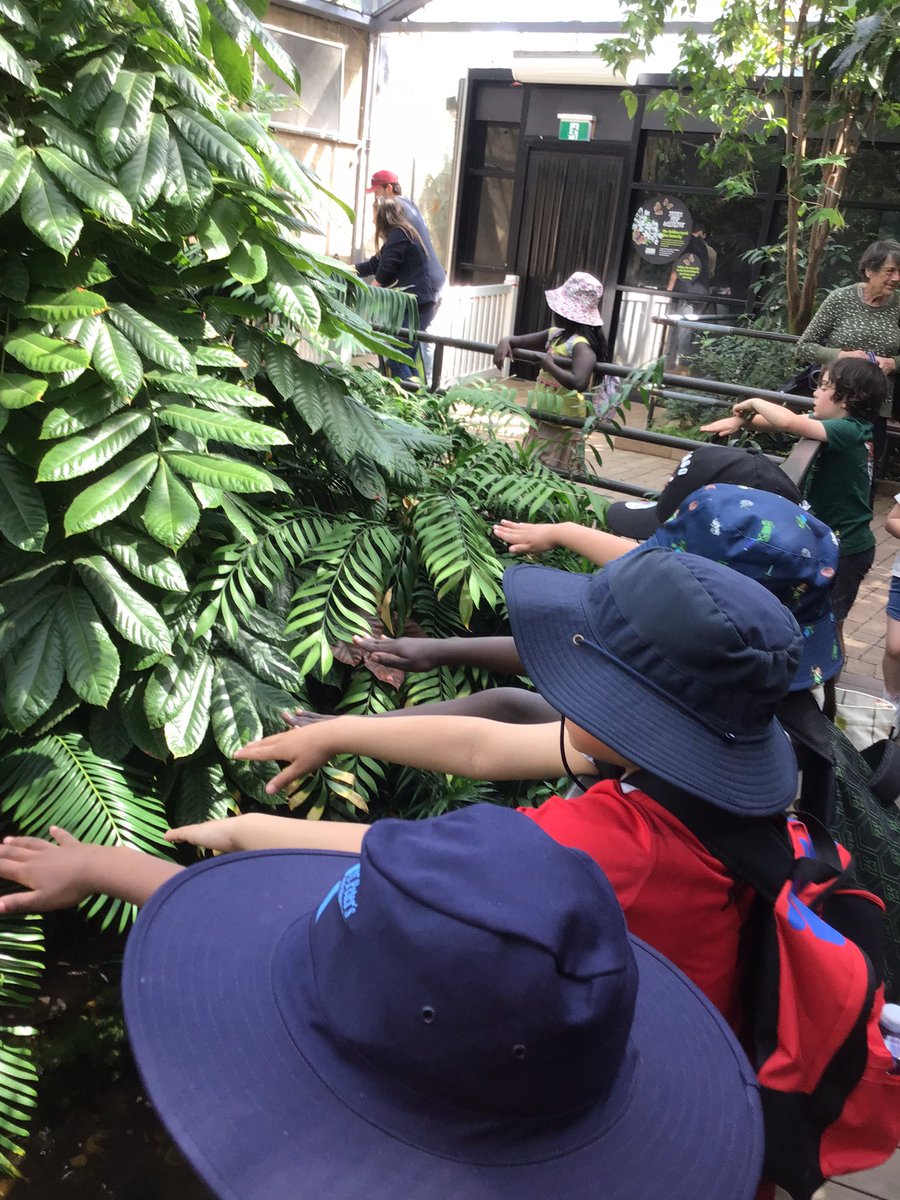 GarveyMrs's tweet photo. Standing still, hoping a butterfly will land on us 😁@stpeterssws https://t.co/fK3nTSKFU1