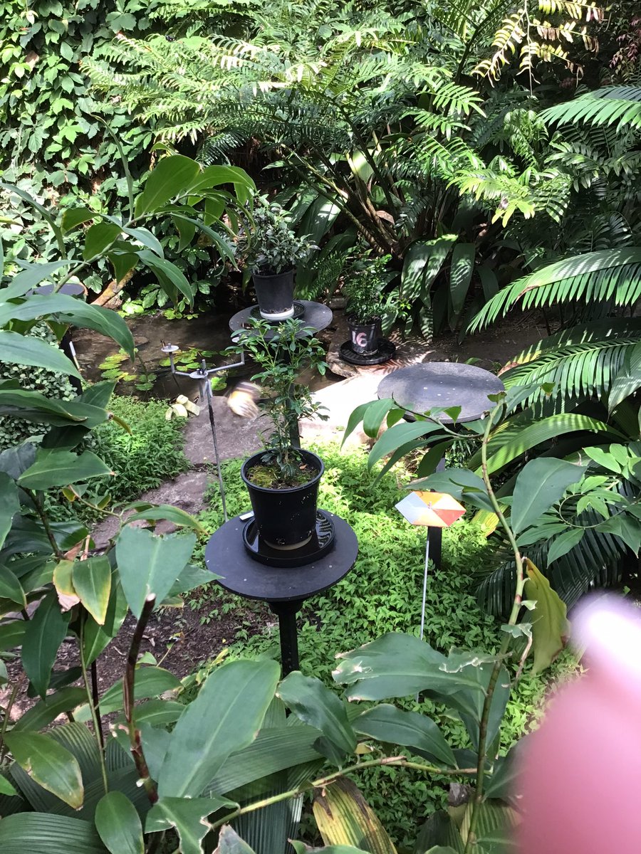 GarveyMrs's tweet photo. Standing still, hoping a butterfly will land on us 😁@stpeterssws https://t.co/fK3nTSKFU1