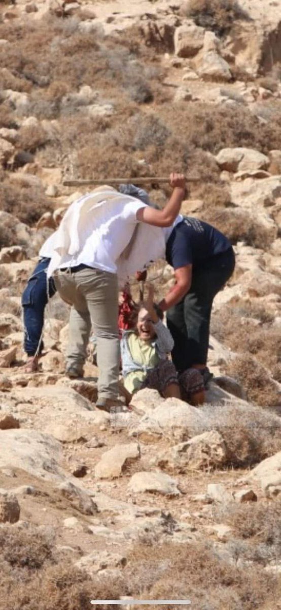cjwerleman's tweet photo. lsraeli settlers lynched and stabbed a pro-Palestinian activist who was helping Palestinian farmers harvest their olive trees in Kisan village, south of Bethlehem. https://t.co/Lg3I49ZCti
