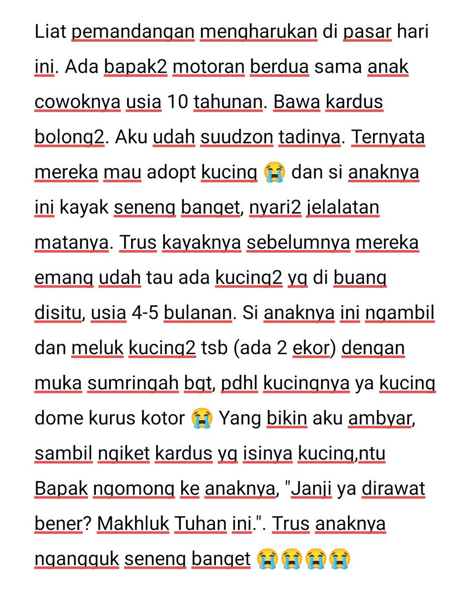 🐈‍⬛ Penghibur hatiku hari ini 😭