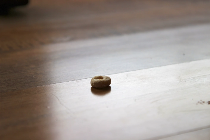 Dusty Cheerio Found In Dorm Closet Reminds Student Of Those Who Came Before bit.ly/3MLvV4i