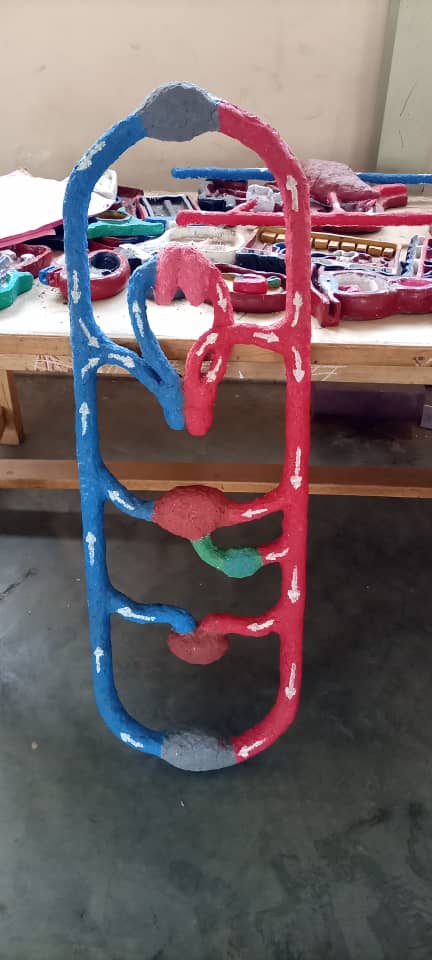 ScienceModels's tweet image. The model of circulatory system, the scientists know it better. Products of the AFRICAN SCIENCE MODELS from Uganda