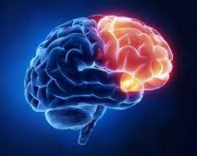 Addiction_22's tweet photo. #Psychiatry is the branch of medicine focused on the #diagnosis, treatment and prevention of #mental, emotional and #behavioral #disorders. 
Visit: https://t.co/NPUOptgC7x https://t.co/lKhJF4ySRL
