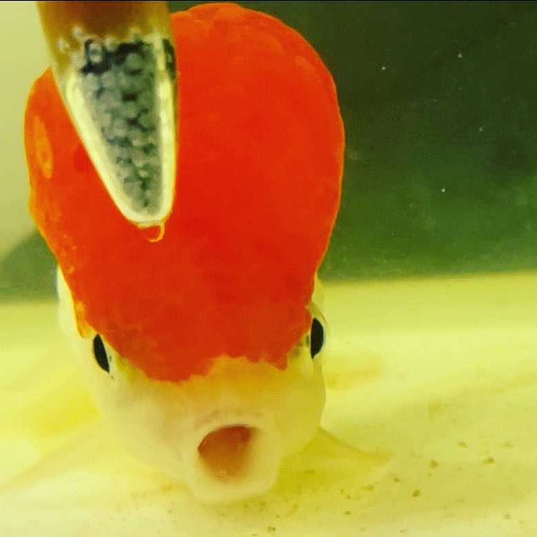 03 M57pbagbm3m 03 M57pbagbm3m