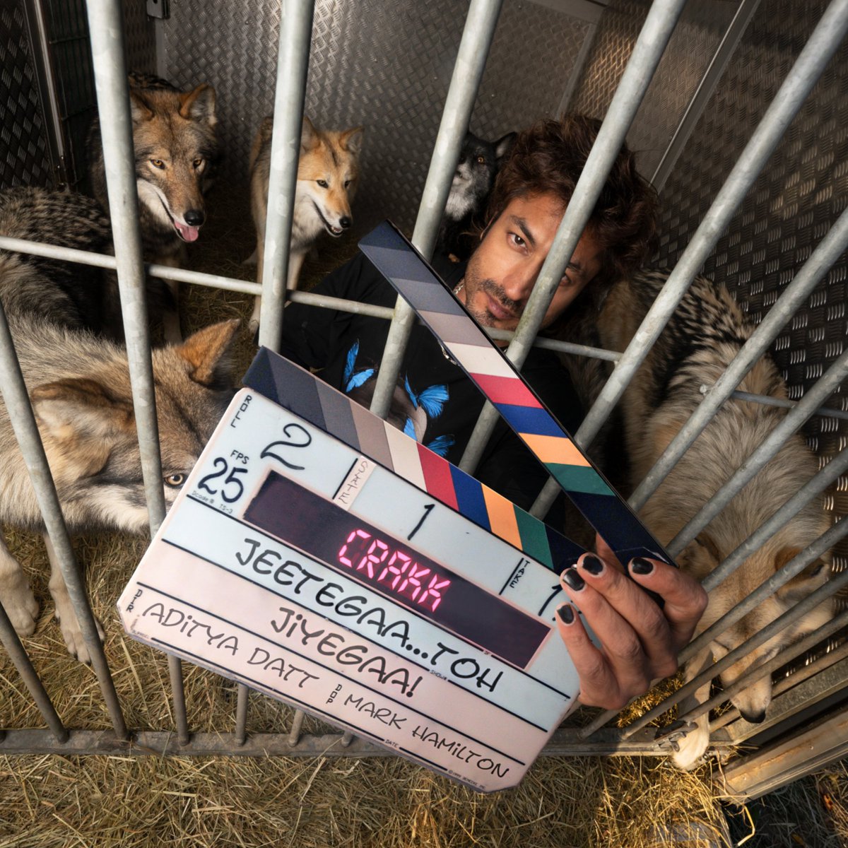 Vidyut Jammwal tweet media