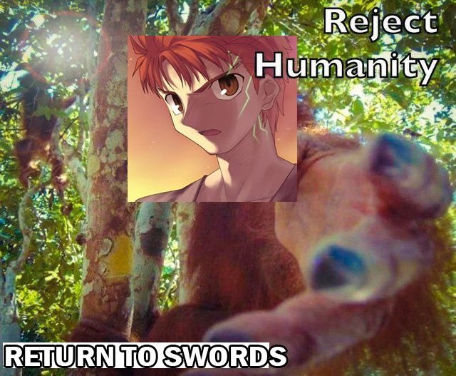 Ebil_mori's tweet photo. I am not seeing enough shirou here https://t.co/vl6MfjQR8m