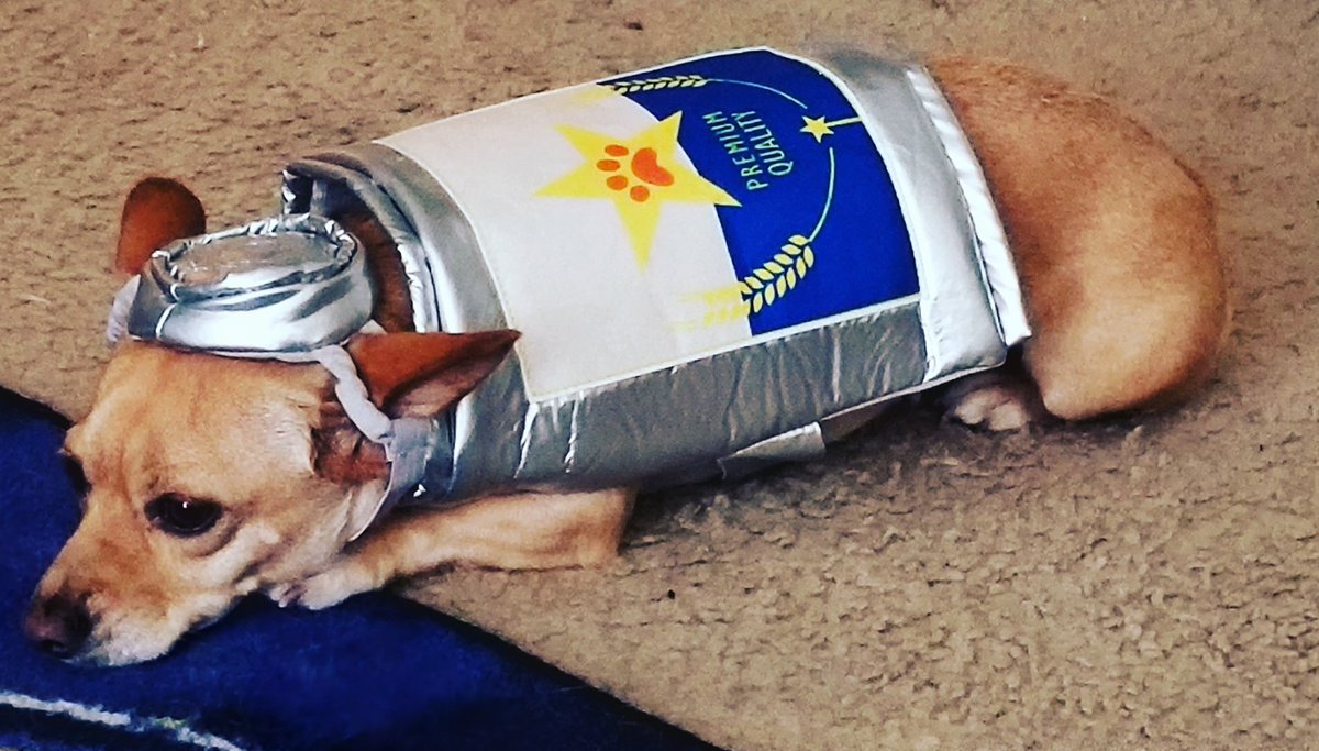 StitchMclean's tweet photo. @KennedyNation #Kennedogs 6.1% alcohol https://t.co/nPsvFazaha