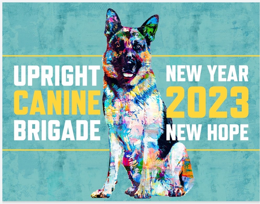 UprightCanineBr's tweet photo. UCB 2023 Calendars are ready for order! $25 Proceeds go towards #Megaesophagus Research! Buy through our website https://t.co/G7Z1ZB7wCL or Venmo ucb_megae
#uprightcaninebrigade
#2023calendars
#megae
#megaesophagusdog https://t.co/vnffngZUdV
