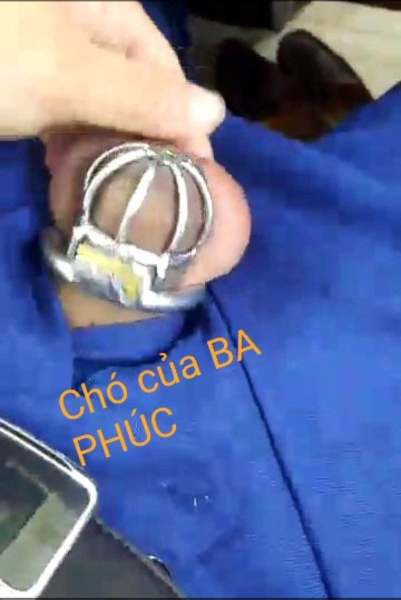 Nhiệm vụ mỗi buổi sáng của Chó đây !!
Chó nói : Chó rất vui Sướng &amp; tự hào mỗi buổi sáng quỳ lạy BA PHÚC  ,, Chó rất Tôn thờ và yêu BA