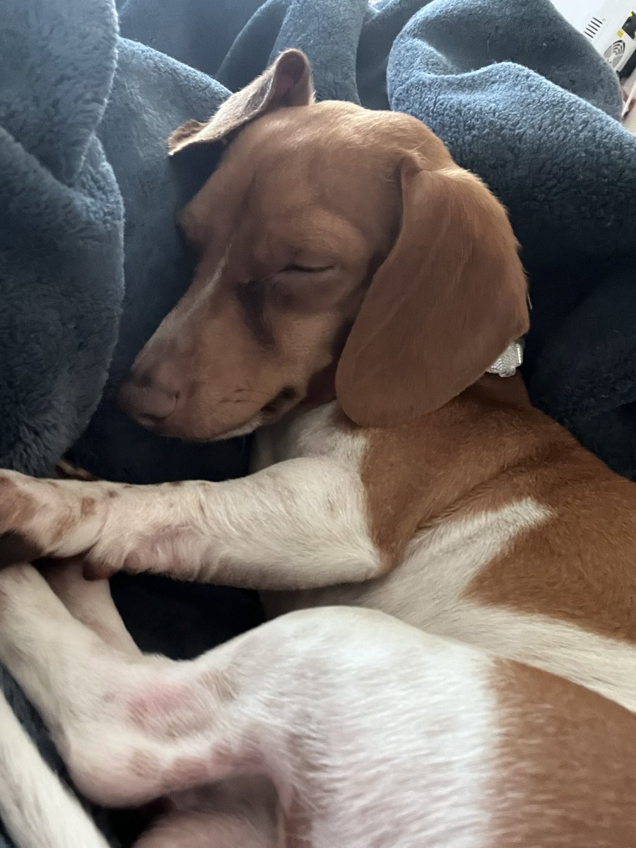 jacMONTES's tweet image. My boy 🥹