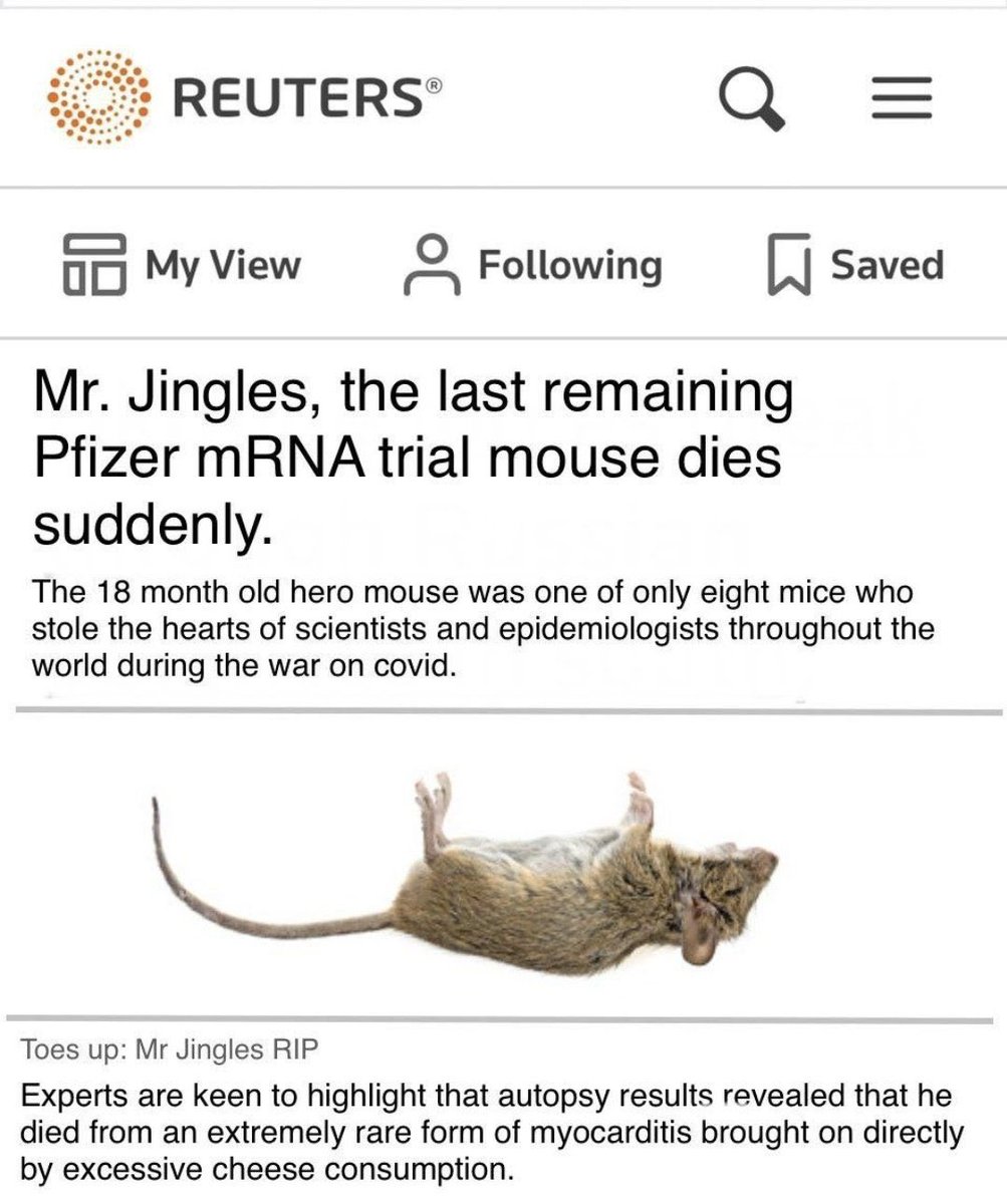 Naphilim's tweet photo. Do the math:
The longest-lived of the #Pfizer #EightMice died within 18 months.
Average mouse lifespan is 3 years.
Average human lifespan is 70 years.
So the longest-lived v*xxer will die within 35 years.
Bad news for v*xxed kids. https://t.co/kEE8HfW4jj