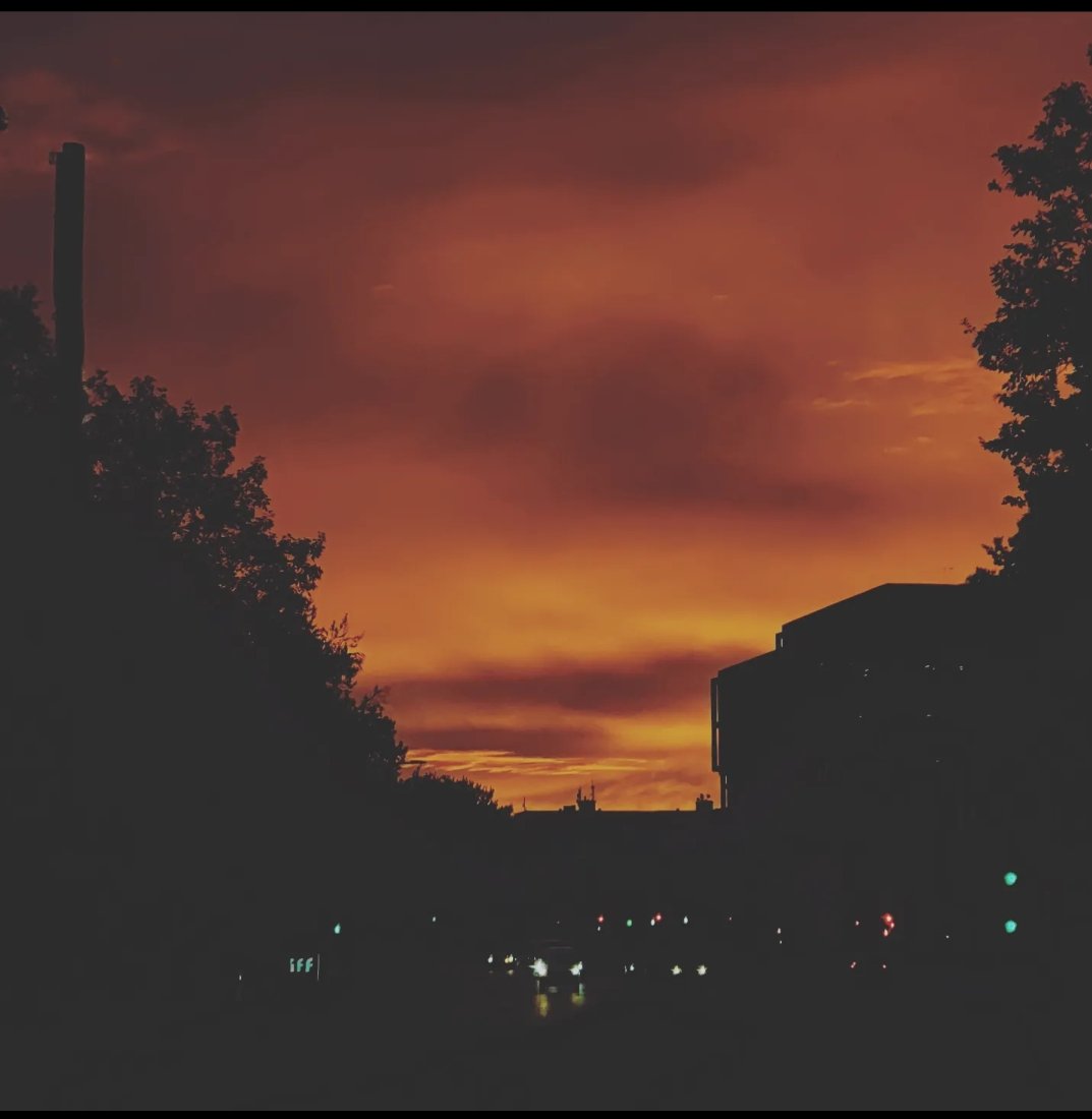 Martin Slot tweet media