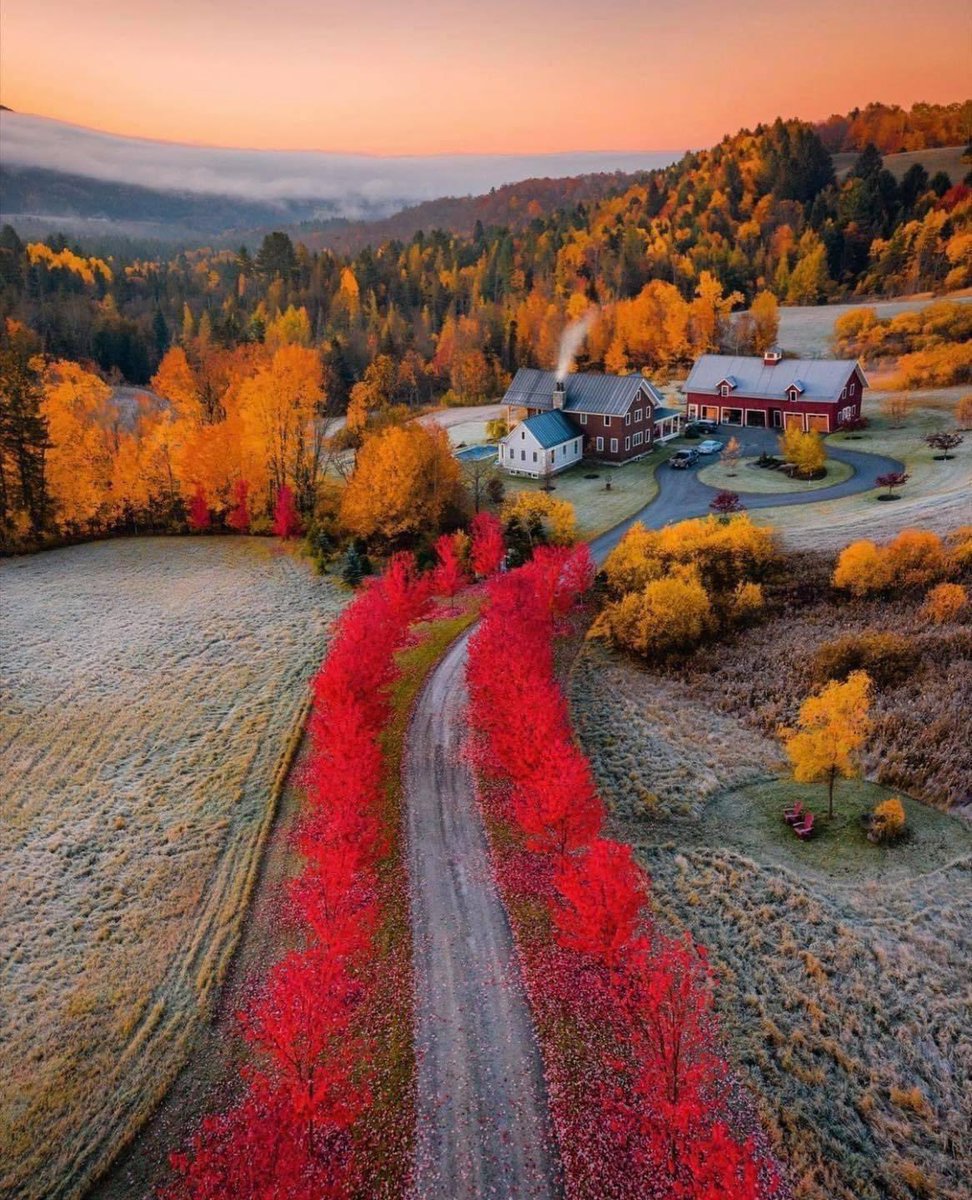 HamitKaraman9's tweet photo. GÜNAYDIN
ROJBAŞ
SODİREXER
GOOD MORNNİG
GUTEN MORGEN
Dostlarım canlar gününüz aydın geleceğiniz parlak Yolunuz açık başarlarınız daim olsun
#CESARETLE #SEVGİYLE
DÜNYA GÜZELLEŞİN https://t.co/I6cquuRGHj