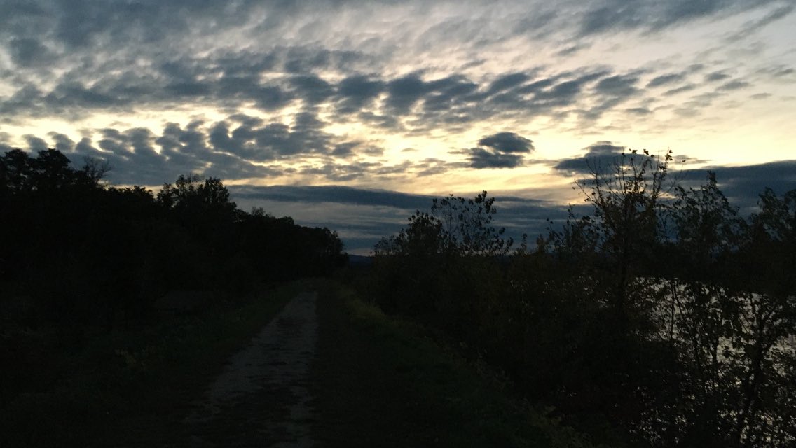 pandarbor's tweet photo. I just felt like running ♥️ #chenlaoshi #MrChen #陳老師 https://t.co/7uQfeTbq3G
