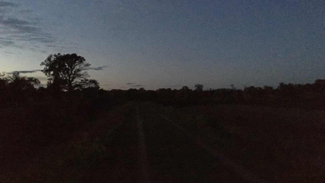 pandarbor's tweet photo. I just felt like running ♥️ #chenlaoshi #MrChen #陳老師 https://t.co/7uQfeTbq3G