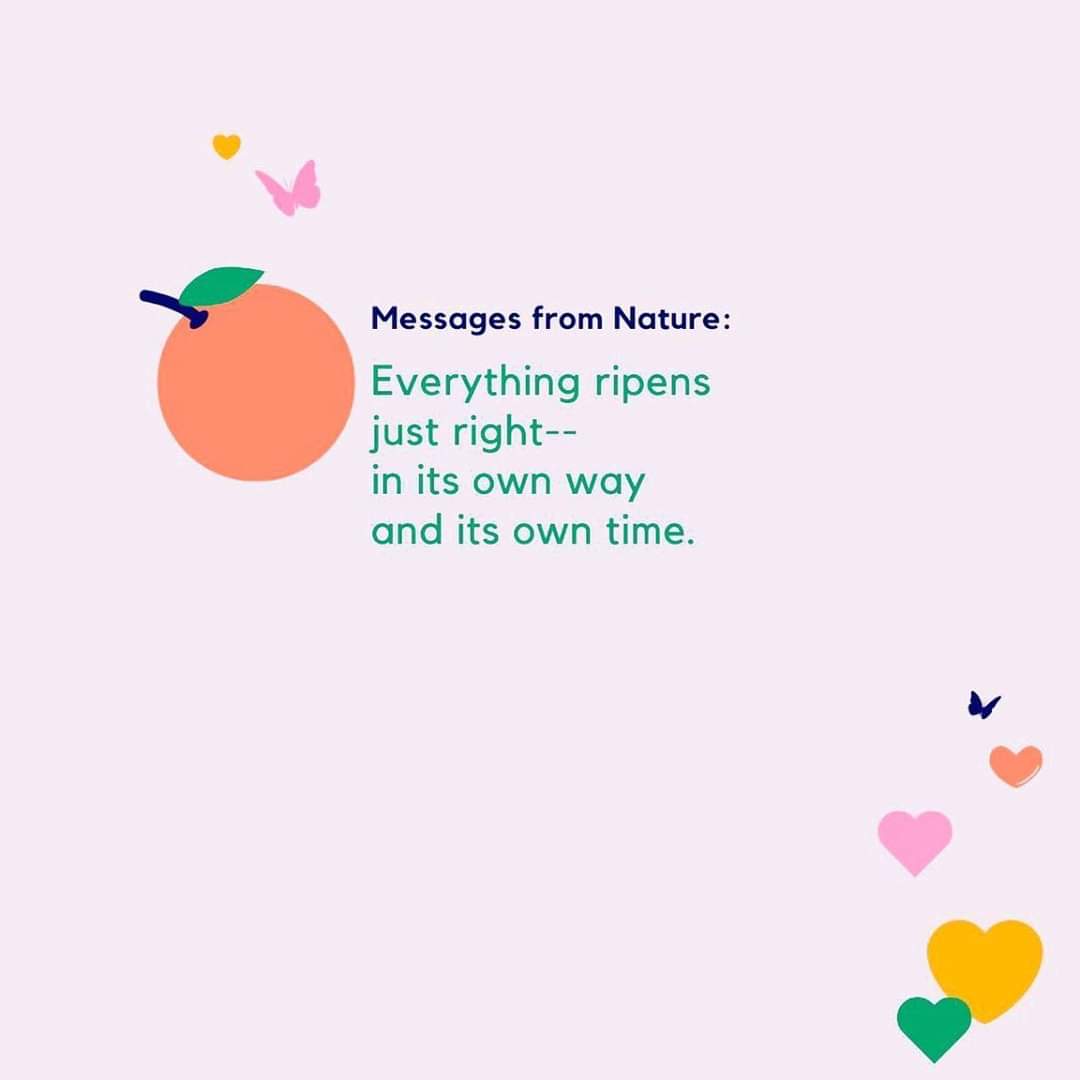 DrBethAnneKW's tweet photo. π So, keep trusting where you are at. Keep seeing the beauty in being exactly where you are.
β£
βοΈ
β£
Know it's all going somewhere in a constant dance of regeneration, rebirth and becoming.
β£
π
β£
#DrBethAnneKW #YourHeartMagic #WisdomOfNature #MentalHealth https://t.co/iOaaJB7U71
