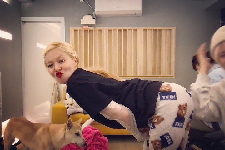 akaashiblog's tweet photo. Les juro que ya casi me voy a dormir >< es solo que me gusta #brēak·這·𝑟u𝕝es ♡ pero obvio bn cómoda and that’s why ya me puse mi pijama de ositos, espero y no vaya contra el código de vestimenta del ૮꒰ྀི ´ᵔภ ྀི꒱ა #𝕾·壊れ·debut o dean y yo les daremos 7 bonks!🚶🏻‍♀️ https://t.co/xQG3FvVCxE