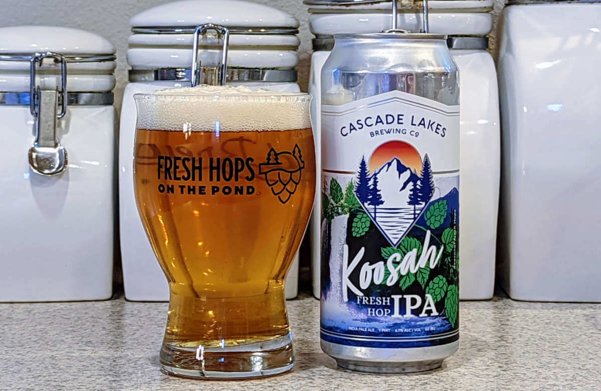 brewsite's tweet photo. More #freshhop beer reviews to keeps the wheels turning! This batch starts off with my homebrew, so let’s jump in. And there's more! With Fresh Hop Fuzztail from @SunriverBrewing and Koosah Fresh Hop IPA from @CascadeLakesAle.

https://t.co/oyoshXa2hU https://t.co/ga6uTglDXY