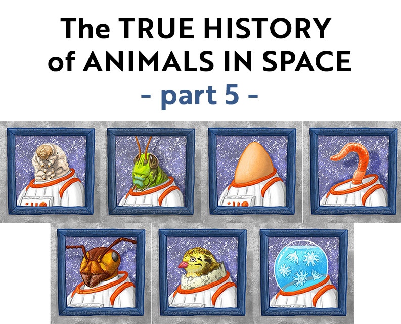 Jamesfoleybooks's tweet photo. My latest book Stellarphant includes a timeline of the True History of Animals in Space ⭐🐘🚀

I've written some in-depth articles to explain the extraordinary stories of these animals. 

Part 5 is available now: https://t.co/xrEOtTbXkE

@FremantlePress @TheCBCA #Stellarphant https://t.co/x16NhR1QOw