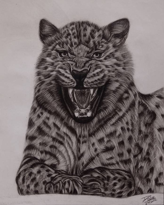 Artoonty tweet media