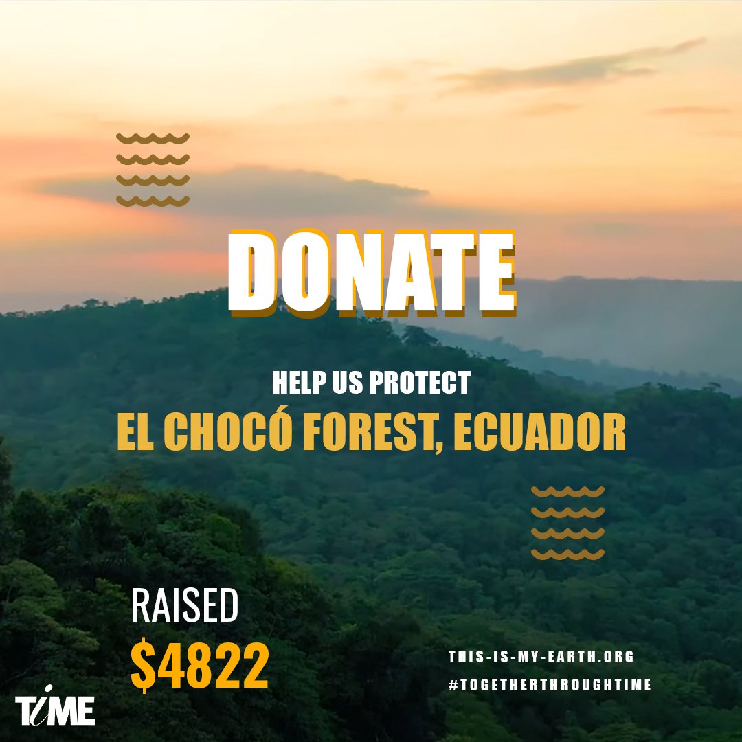 ThisisMyEarth's tweet photo. Go now to our website and support our #natureconservation project in El Chocó Forest #Ecuador.
🇪🇨: https://t.co/Bpe3f4em9k
Help protect dozens of threatened species, including the Endangered Brown-headed Spider Monkey.
DONATE · VOTE · HOPE!
#TogetherThroughTiME #thisismyearth https://t.co/KSlK0NbJwt