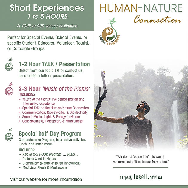 🌿  Music of the Plants - mailchi.mp/67a61e8fb128/l…