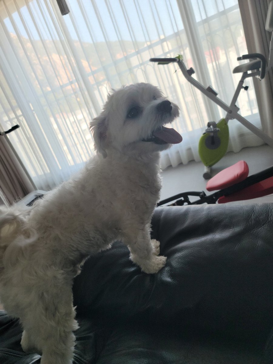 enhypenweverse's tweet photo. [ #정원’s Post ] 221020

#JUNGWON: Yang Maeum🐶 

@ENHYPEN_members @ENHYPEN #ENHYPEN #엔하이픈 https://t.co/60HTj0mMN9
