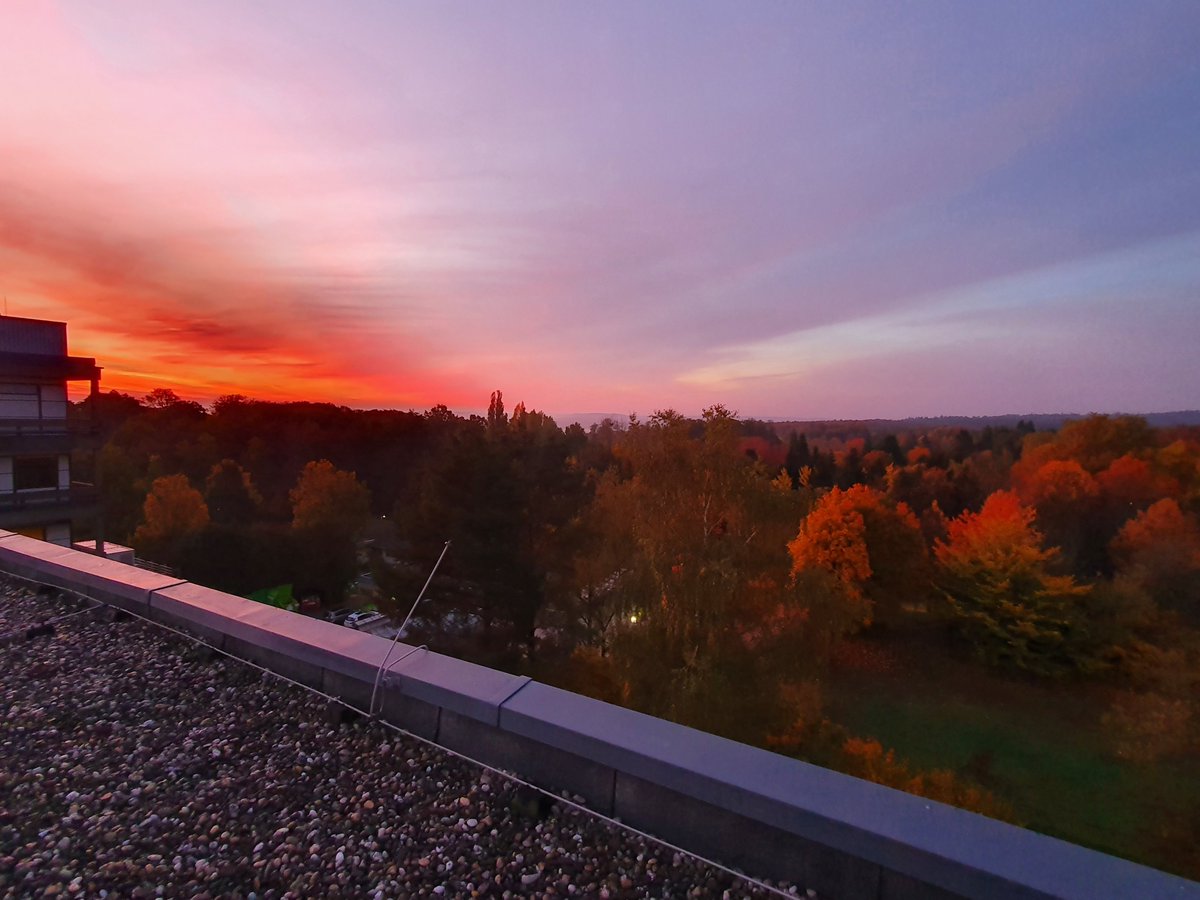 Lukas Herdt tweet media