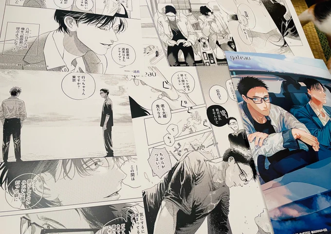 複製原画送っていただきました!
まだ飾って頂いてるところもあるのかな…?各書店さんにお立ち寄りただければ幸いです💐 