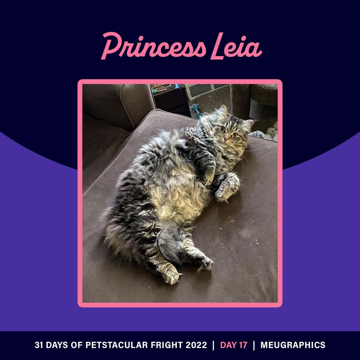 Meugraphics's tweet photo. Day 17/31 #31daysofpetstacularfright
This fearless Princess is leading the Treat Resistance to fight the Trick Order.

You can't fool her and if you try you will be seen as a threat so beware and give her some treats! 🎃👻

#drawlloween #illustrator #Drawtober2022 https://t.co/3ubbX66AH7