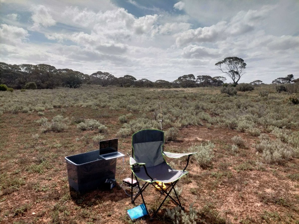 UWA Soils tweet media