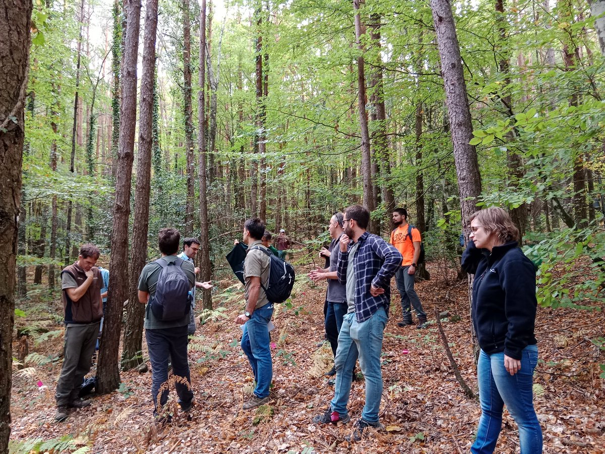 Luna Morcillo Julià tweet media