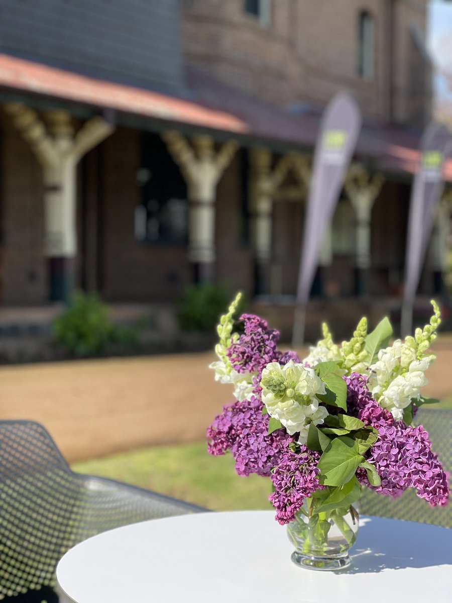 UniNewEngland's tweet image. Sun came out just in time for our Town with Gown event this evening. Bool looking beautiful! 🌷🌞