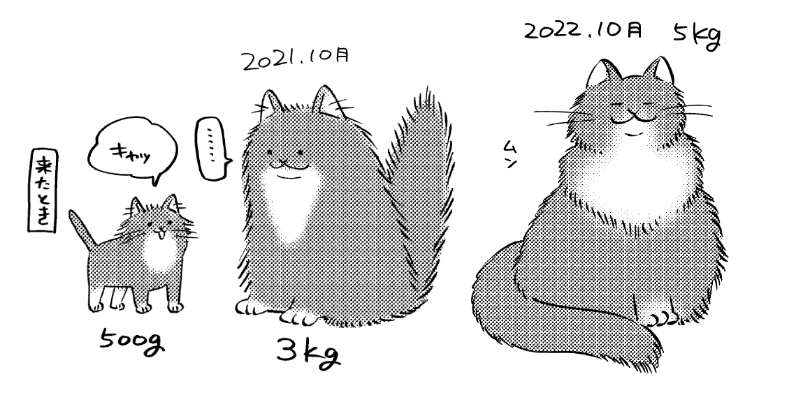 一方その頃ウチの子も大きくなったとさ 