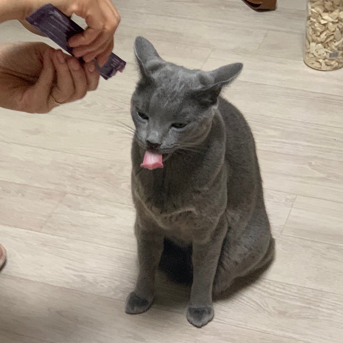 한입에 삼켜 널 delicious