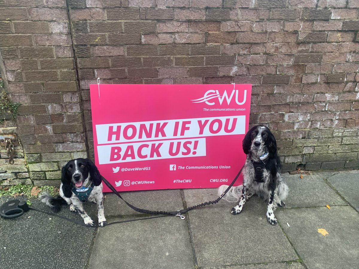 mikepriceme's tweet photo. #dogsonpicketlines Ormskirk Exchange @CWUnews https://t.co/W8UmHGpPG3